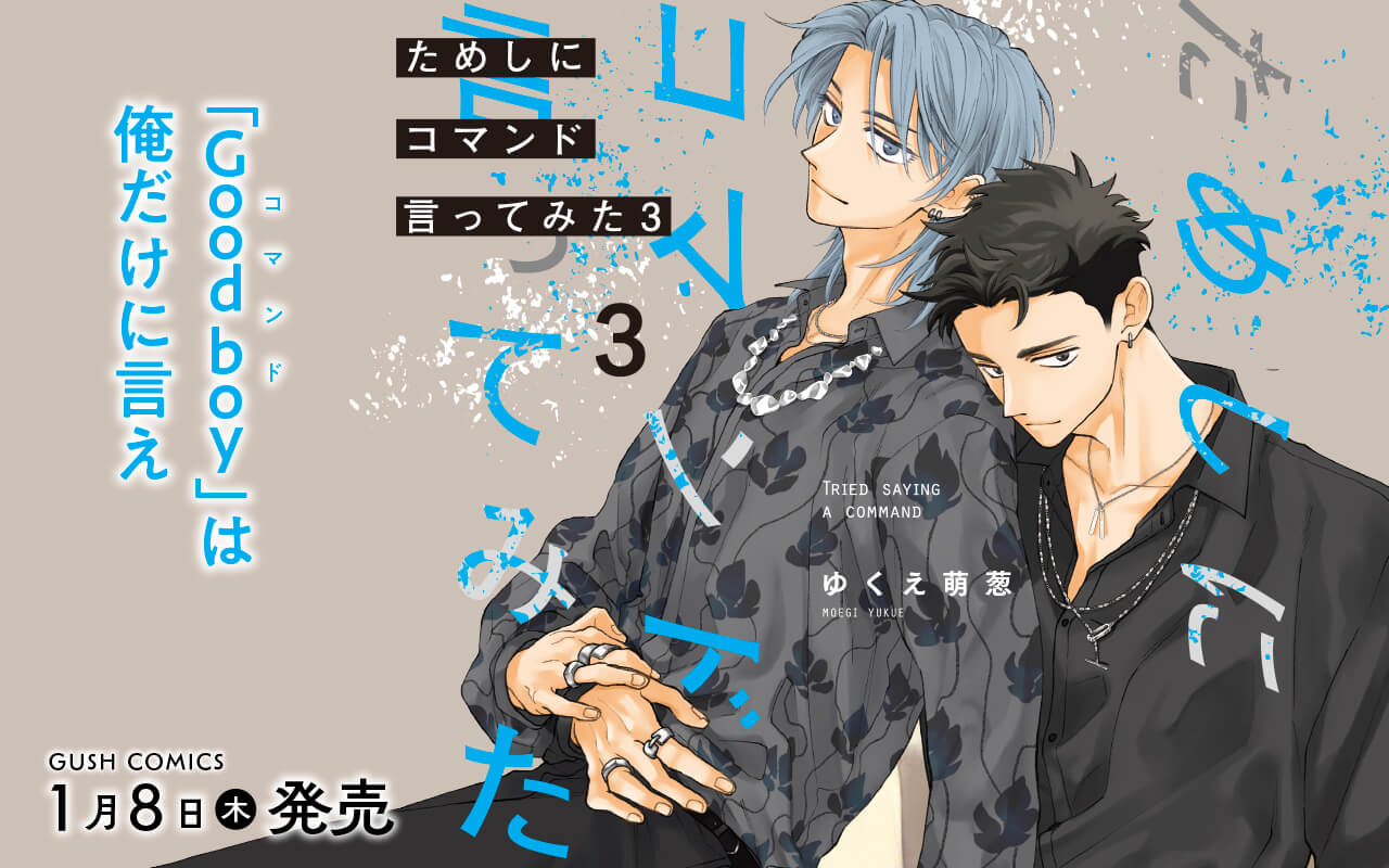 ためしにコマンド言ってみた3