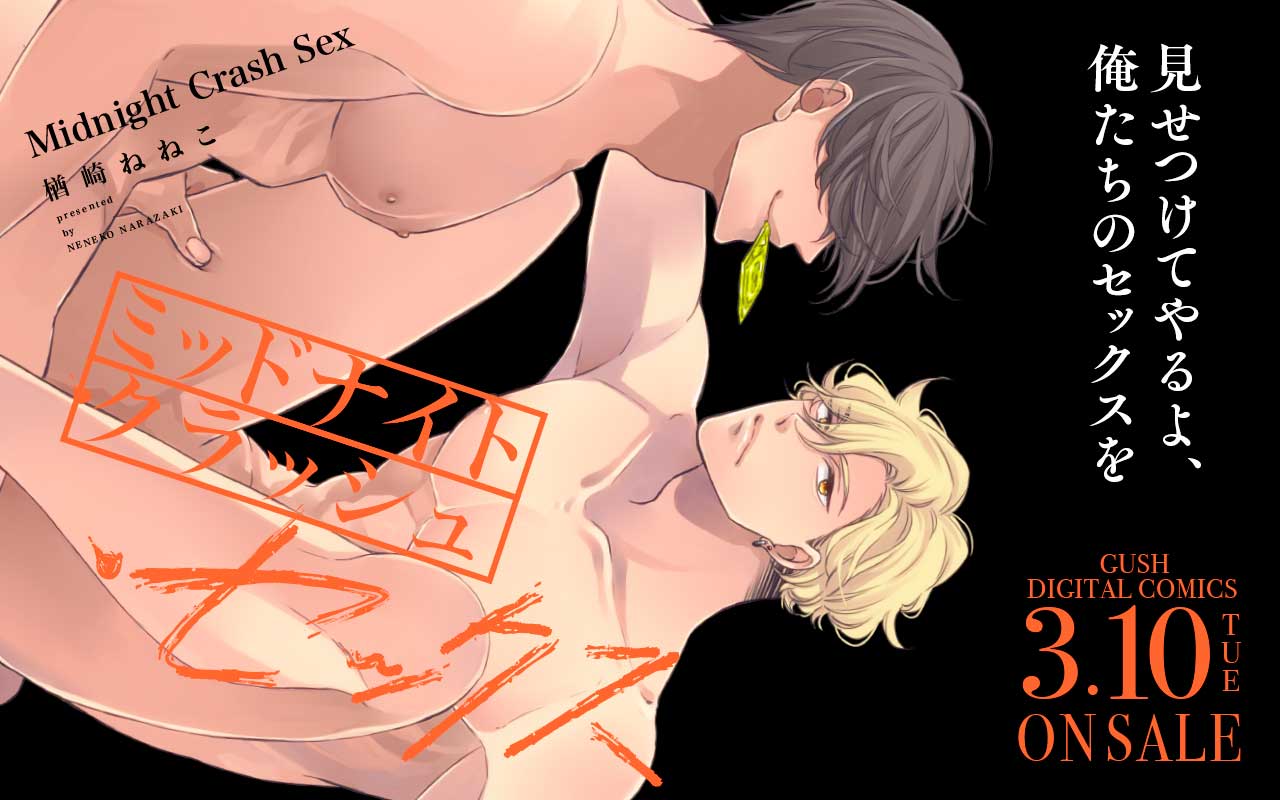 ミッドナイト・クラッシュ・セックス