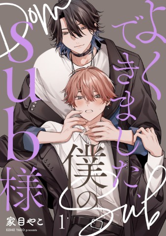 よくできました、僕のSub様