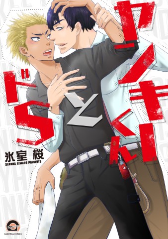 ヤンキーくんとドＳ