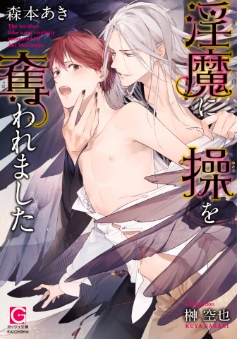 淫魔に操を奪われました