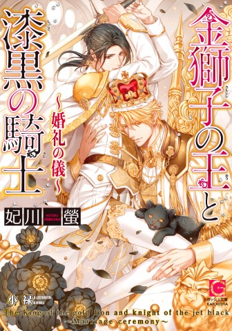 金獅子の王と漆黒の騎士～婚礼の儀～