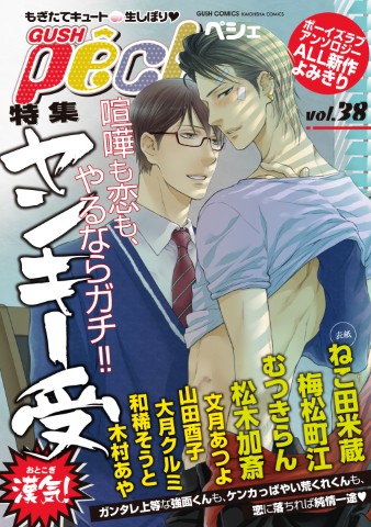 GUSHpeche vol.38 特集：ヤンキー受　漢気！