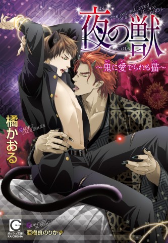 夜の獣～鬼に愛でられる猫～