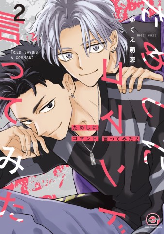 ためしにコマンド言ってみた2