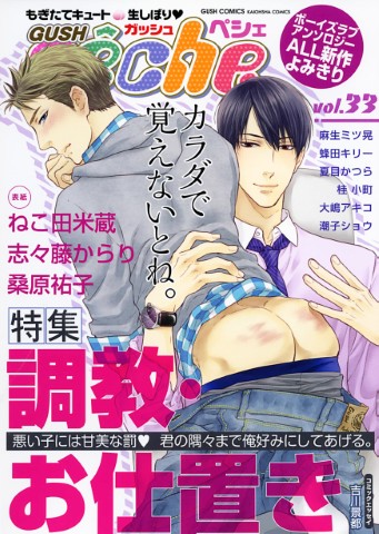 GUSHpeche vol.33 特集：調教・お仕置き