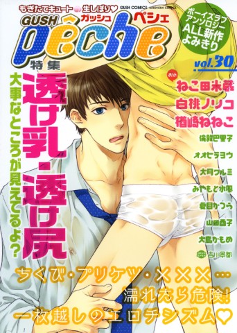 GUSHpeche vol.30 特集：透け乳・透け尻