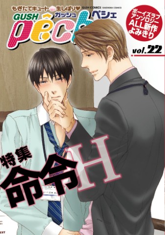 GUSHpeche vol.22 特集：命令H