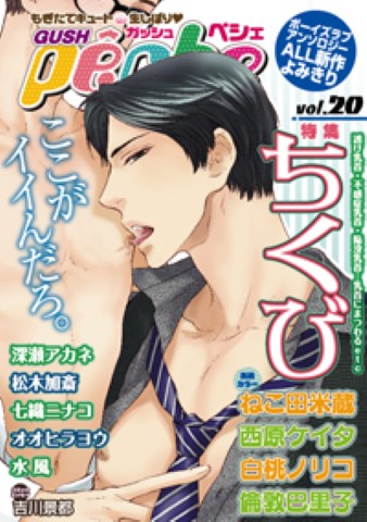 GUSHpeche vol.20 特集：ちくび