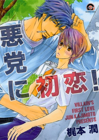 悪党に初恋！