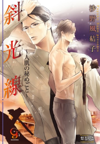 斜光線～人肌の秘めごと～