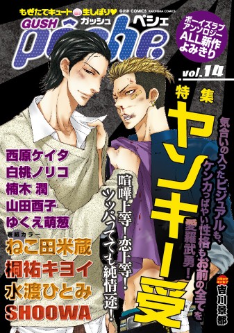 GUSHpeche　vol.14 特集：ヤンキー受