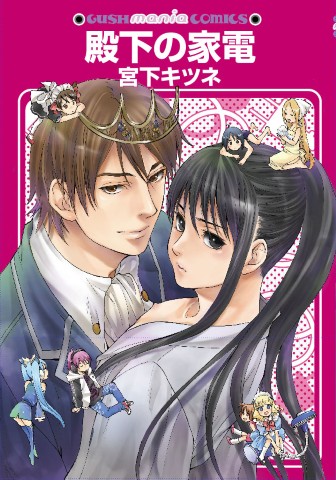 殿下の家電
