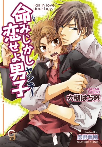 命みじかし恋せよ男子（ヤンキー）