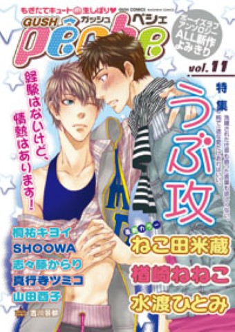 GUSHpeche　vol.11 特集：うぶ攻