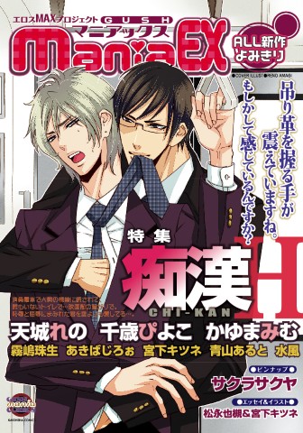 GUSHmaniaEX　特集：痴漢