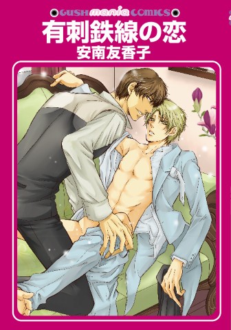 有刺鉄線の恋
