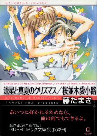 流星と真夏のクリスマス／桜並木袋小路