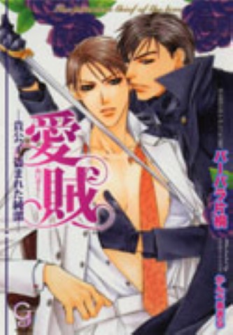 愛賊―貴公子、盗まれた純潔―