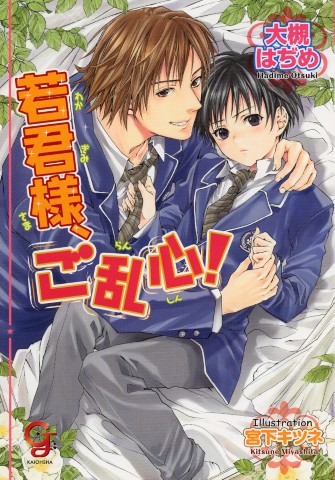 若君様、ご乱心！