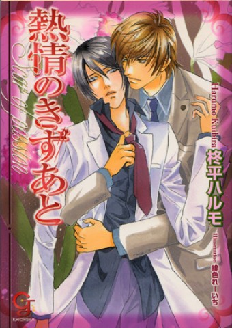 熱情のきずあと