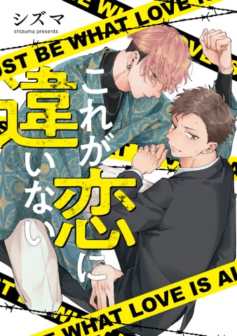 これが恋に違いない