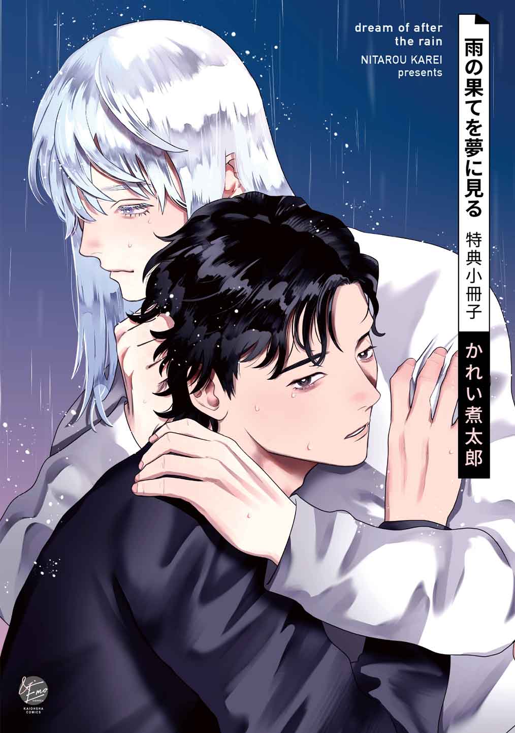 雨の果てを夢に見る　特典小冊子
