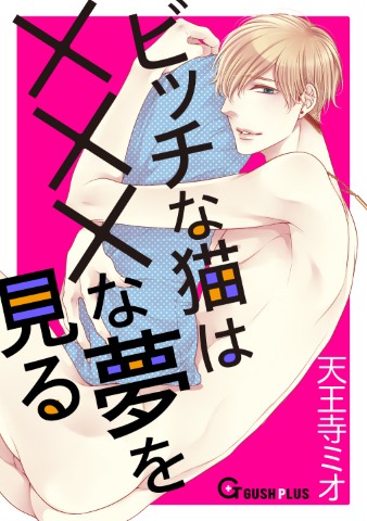 ビッチな猫は×××な夢を見る