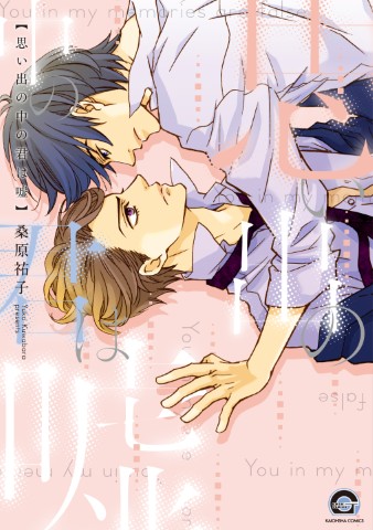 思い出の中の君は嘘