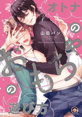 オトナのおもちゃの遊び方